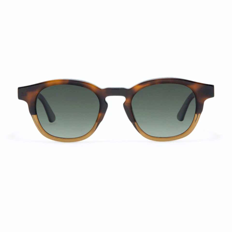 Gigi Studios Doran GS7022 20 Erkek Güneş Gözlüğü