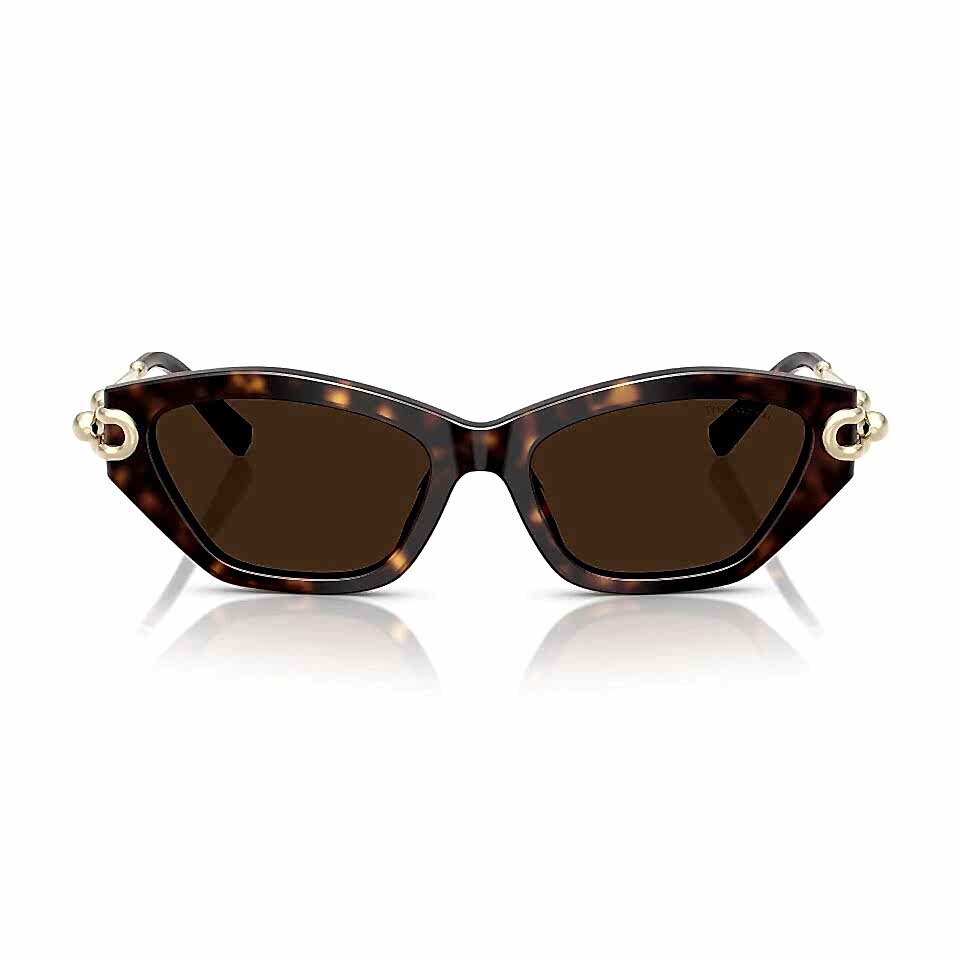 Tiffany TF 4231U 80153G53 Kadın Güneş Gözlüğü