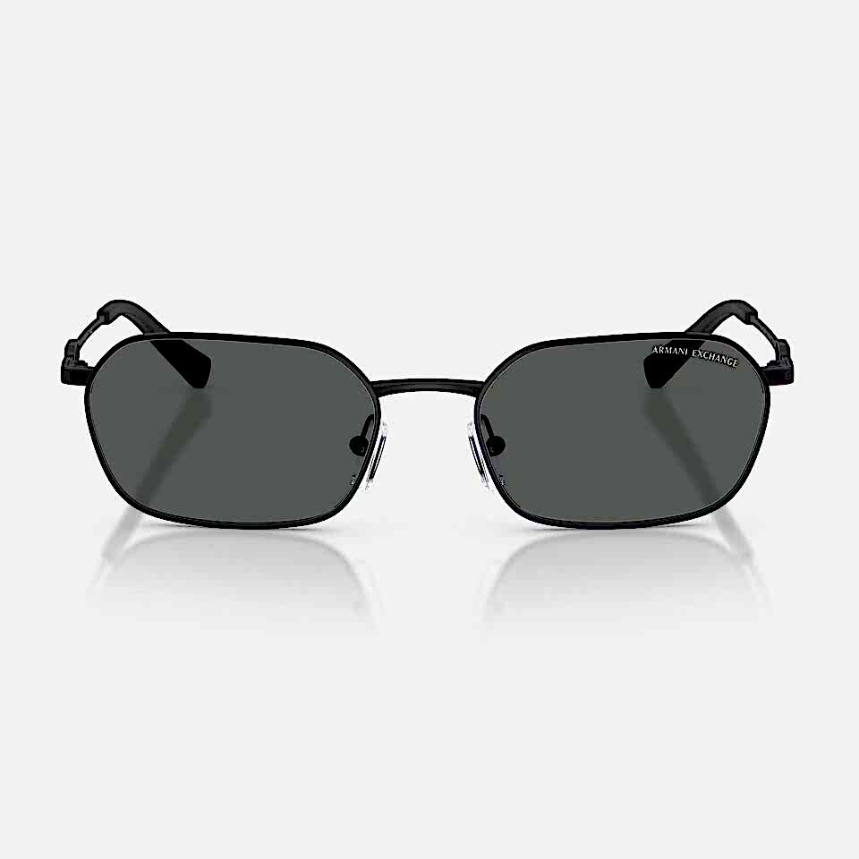 Armani Exchange AX 2056S 60008754 Unisex Güneş Gözlüğü